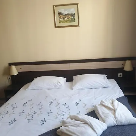 Dream 207 公寓 班斯科