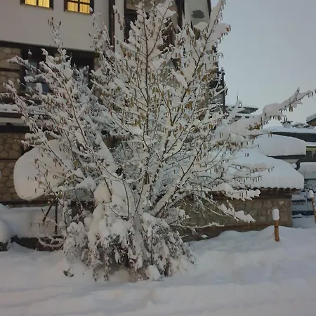 Dream 207 Apartman *