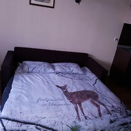 Dream 207 Apartman Banszko