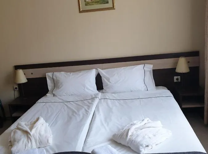 Apartman Dream 207 *