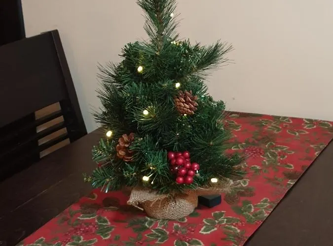 Dream 207 バンスコ