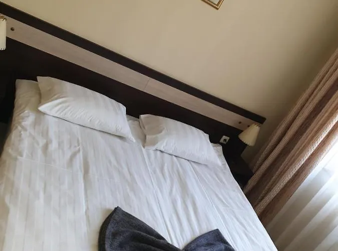 Dream 207 バンスコ