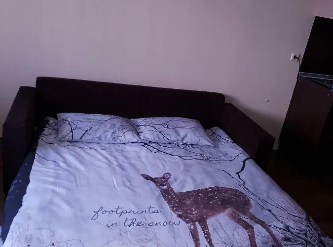 Dream 207 Apartman Banszko