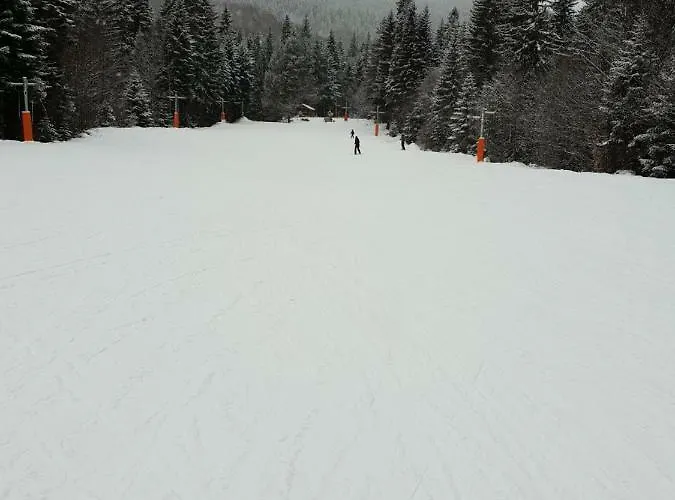 Dream 207 バンスコ