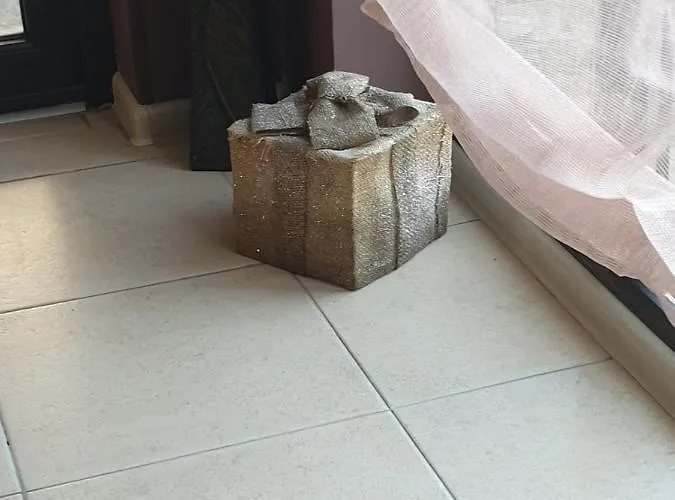 Dream 207 バンスコ